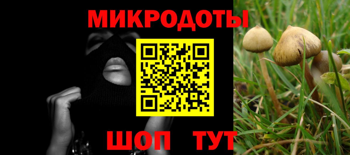 Галлюциногенные грибы Psilocybe Алатырь